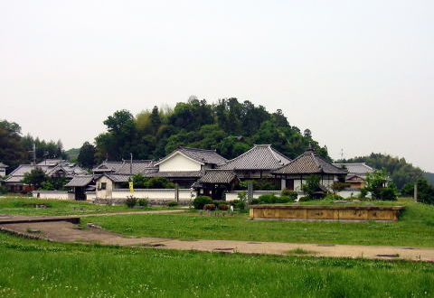 広大な土地に瓦屋根の大きな屋敷がある写真