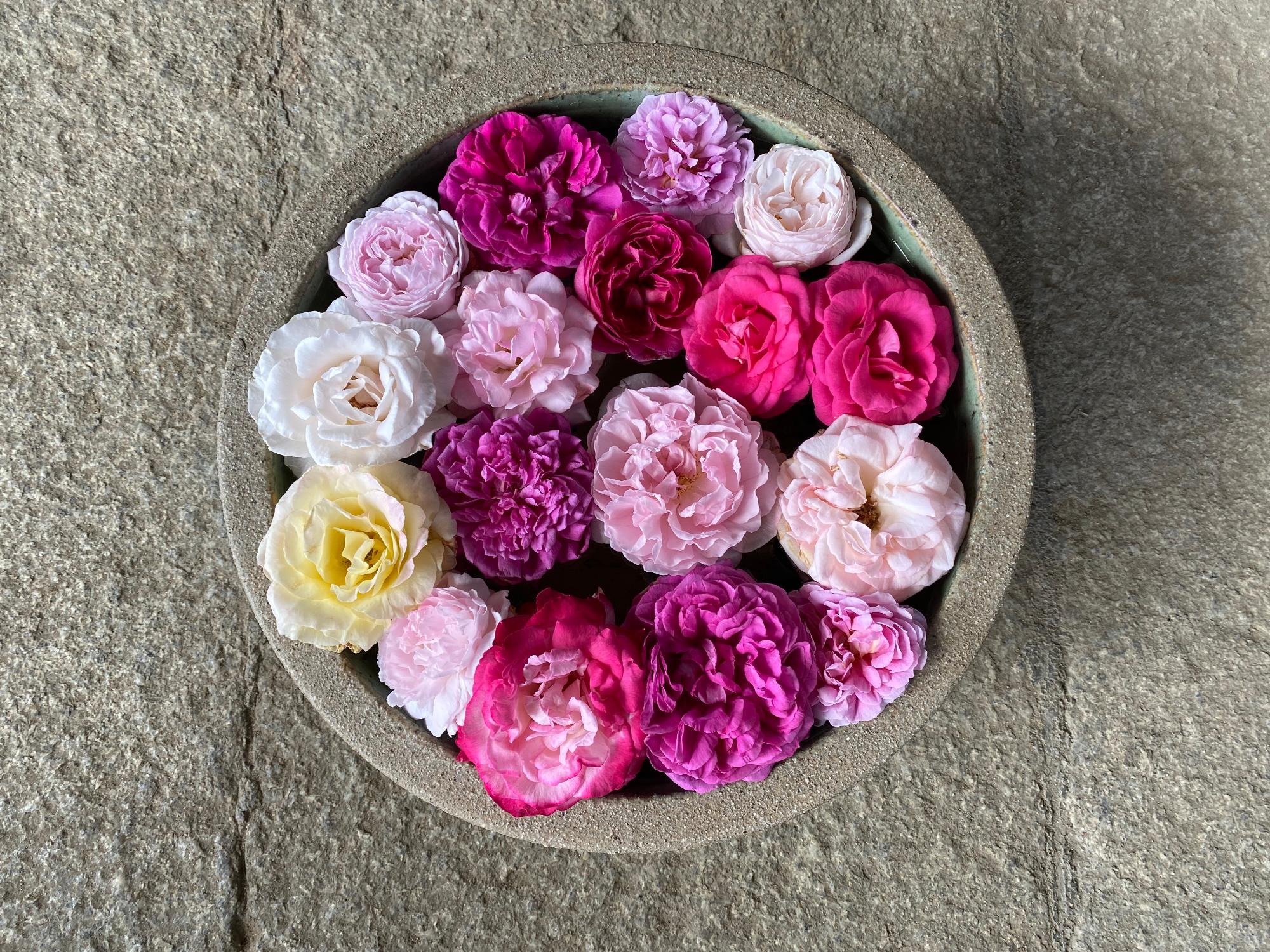 おふさ観音の花手水の写真