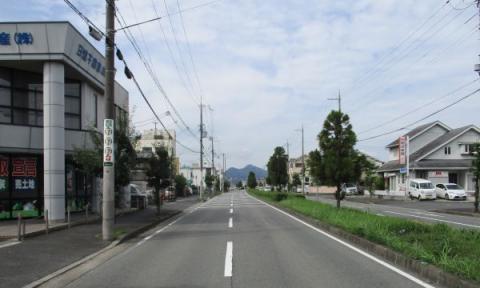 右側に植え込みがある土橋町西交差点の写真