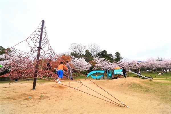 手前には色々な遊具やアスレチックが設置されていたり、右奥には走り回れる草原があったりする、沢山の木々に囲まれた広場の写真