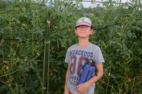 生い茂るミニトマトの前に立って笑顔を浮かべる小学生の写真