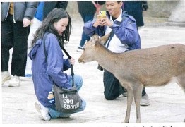 奈良IYEO