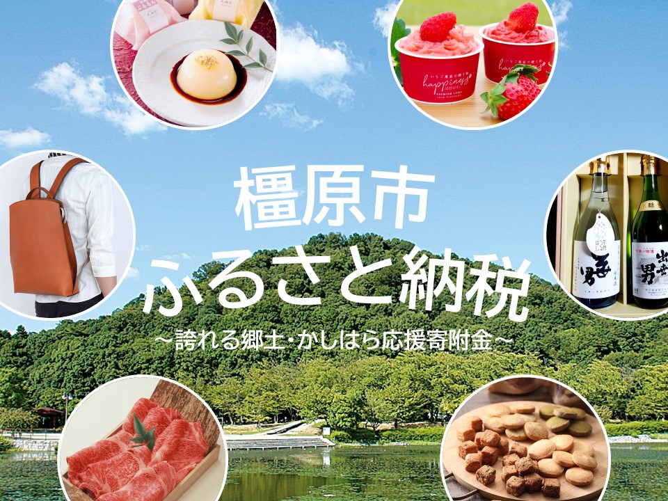 ふるさと納税2