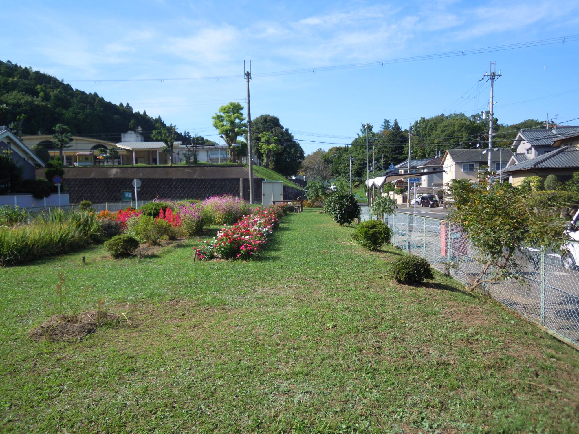 南白橿バス停前にある色とりどりの花が咲き乱れている空き地の写真