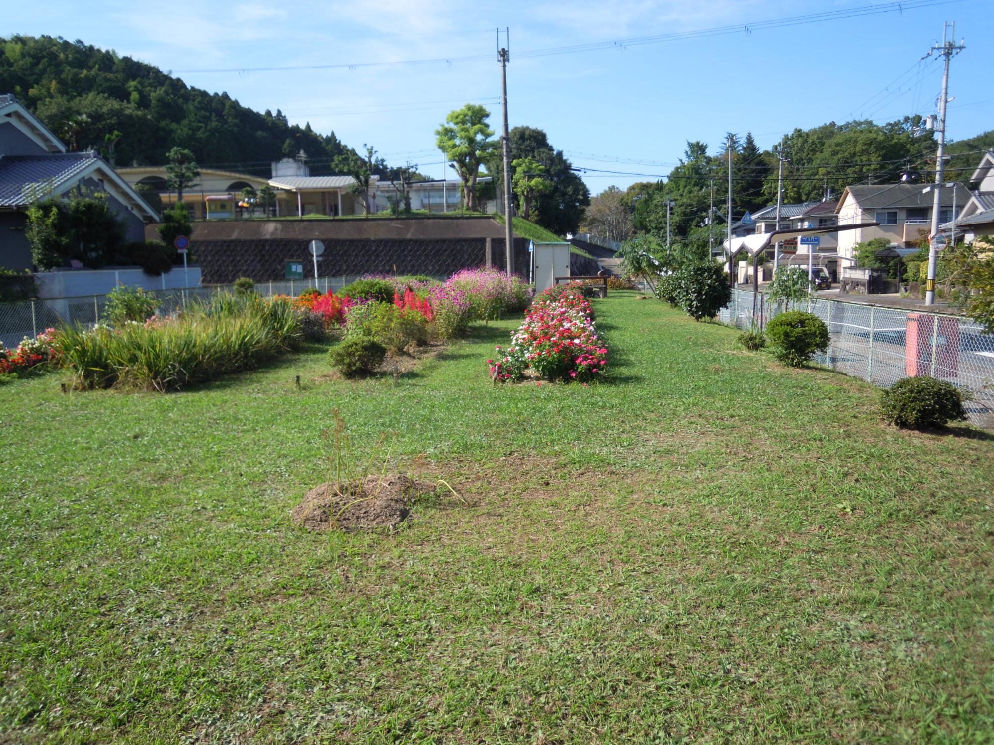 南白橿バス停前にある色とりどりの花が咲き乱れている空き地の写真