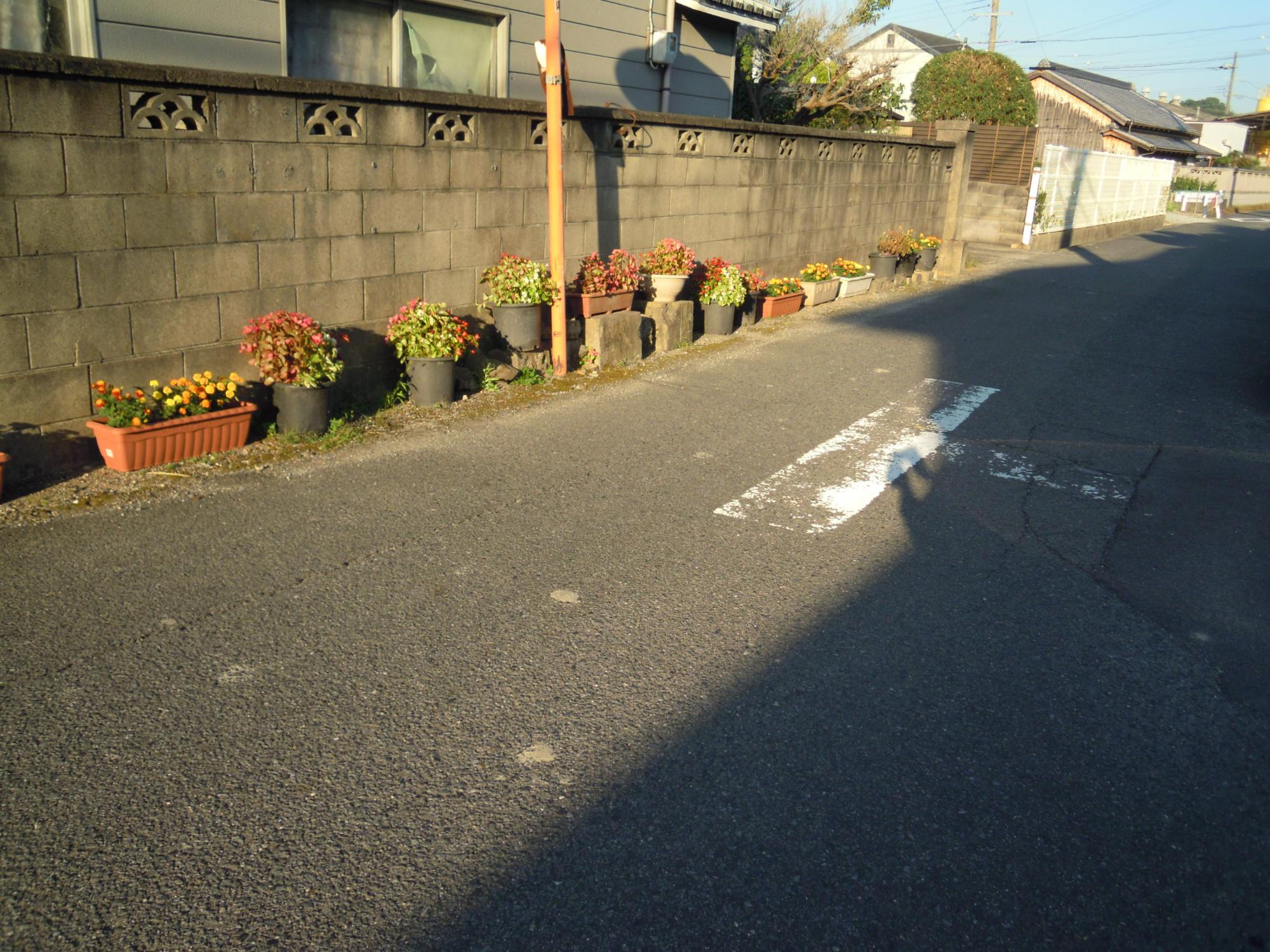 一町内にある様々な花が咲いている植木鉢13個の写真