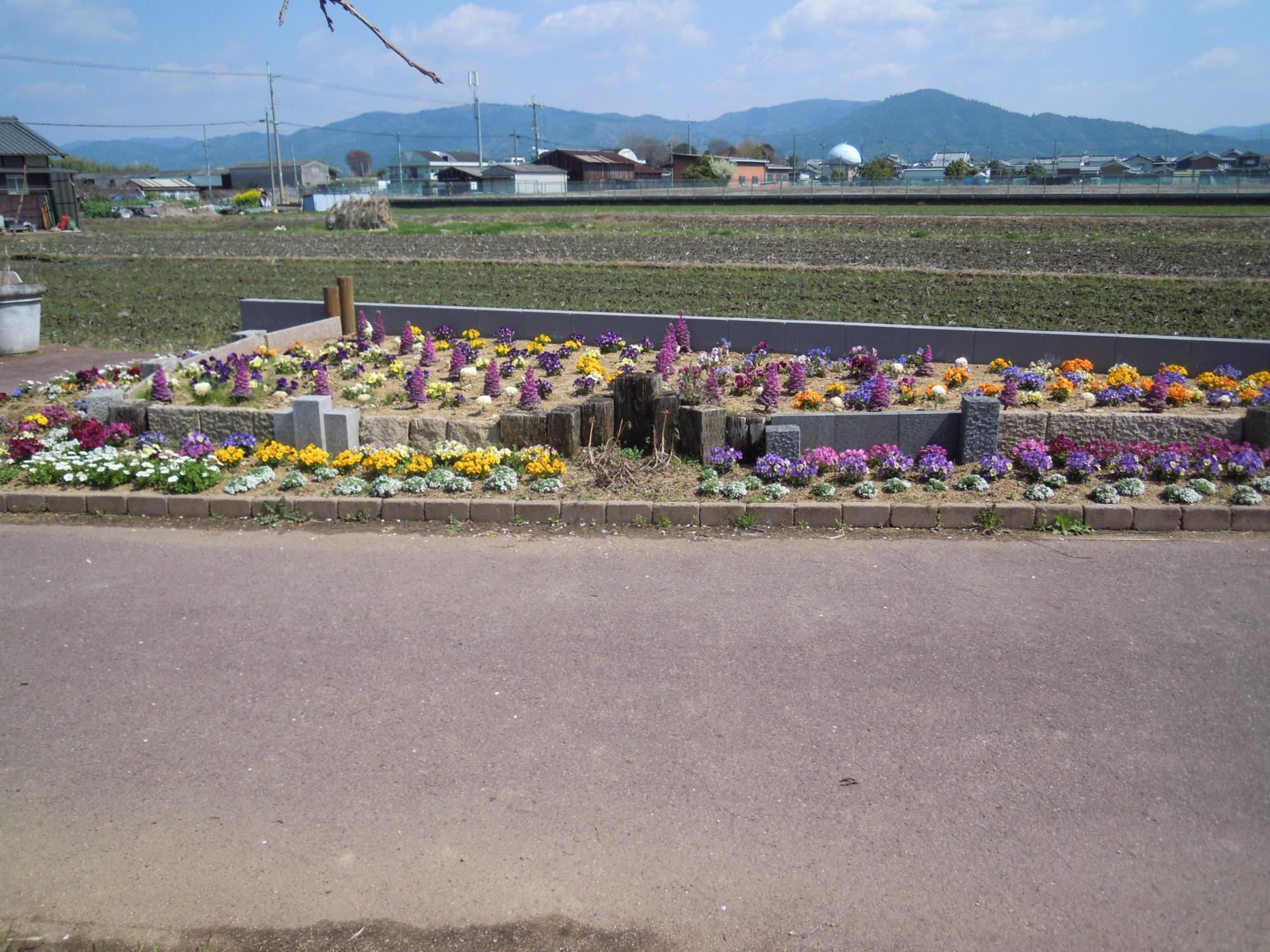 下池(上ノ添池)周辺にある色とりどりの草花が咲いている花壇の写真