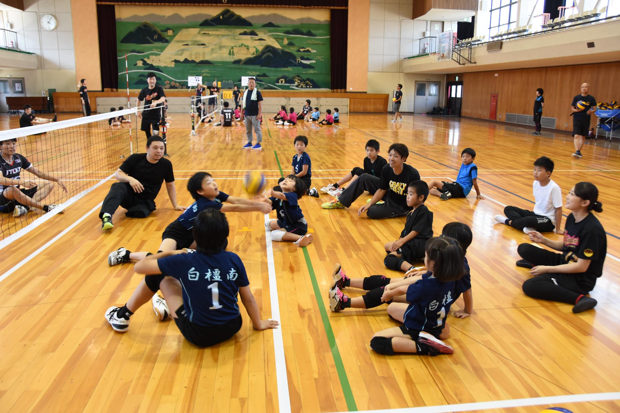 大勢の生徒が体育館でシッティングバレーボールを行っている写真