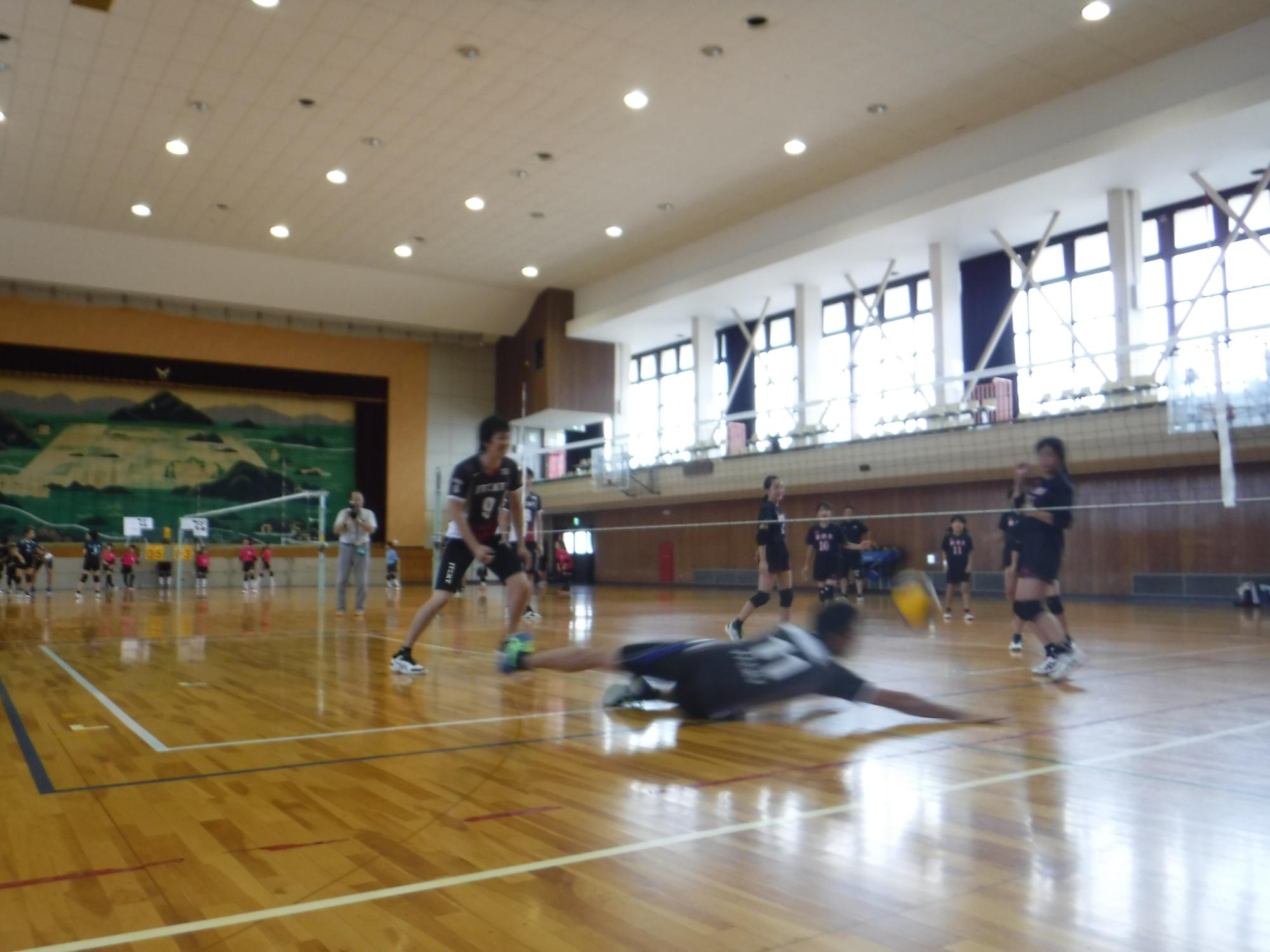 選手が体育館でバレーボールをスライディングで拾おうとしている写真