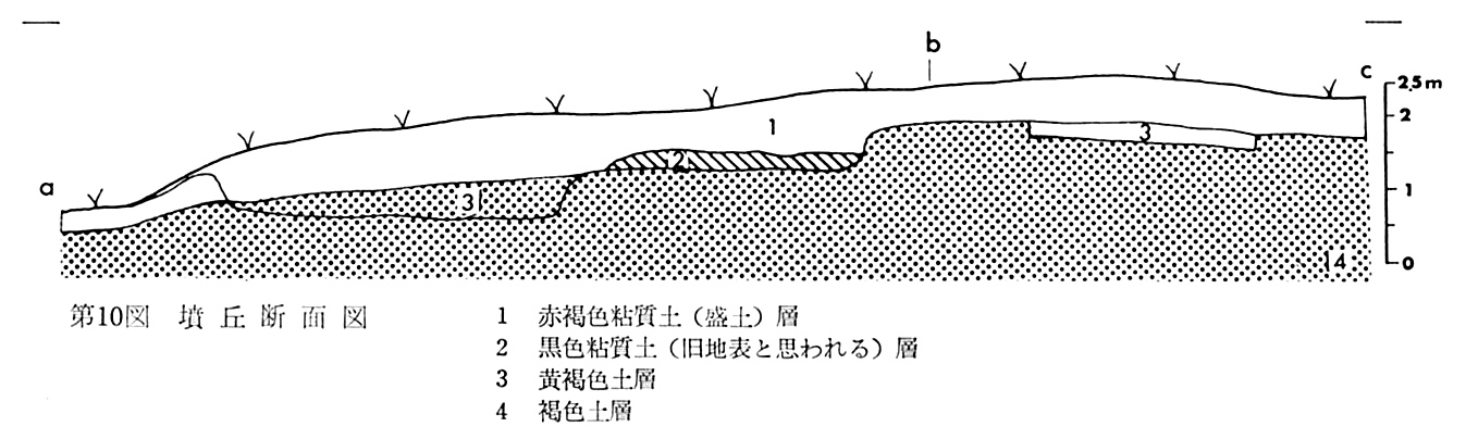 第10図墳丘断面図