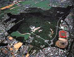 緑に覆われた橿原遺跡の航空写真