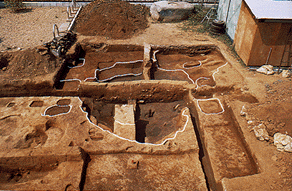 心礎の南側に大きな土坑と、その周辺に掘立柱建物の柱穴がみられる、塔心礎抜取穴を斜め上空から写した写真