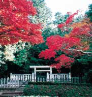 紅葉が広がる石川池(剣池)のほとりにある孝元天皇陵を写した写真