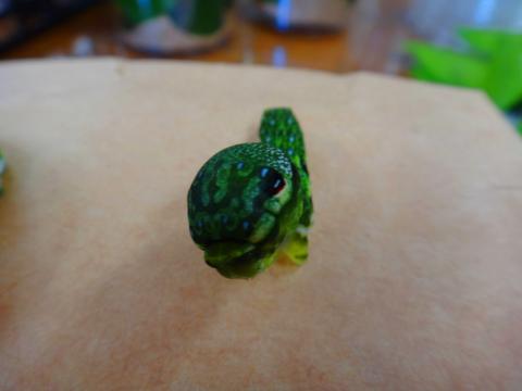 カラスアゲハの幼虫が頭を起こしている様子の写真