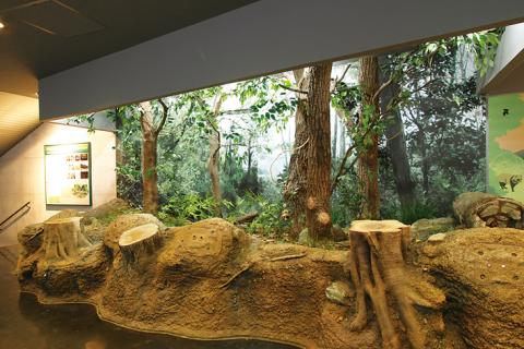 生体展示室が写った写真