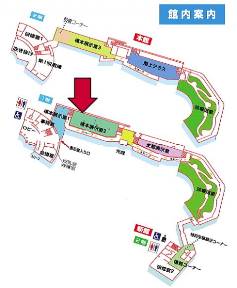 標本展示室への館内案内図