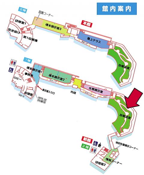 放蝶温室への館内案内図