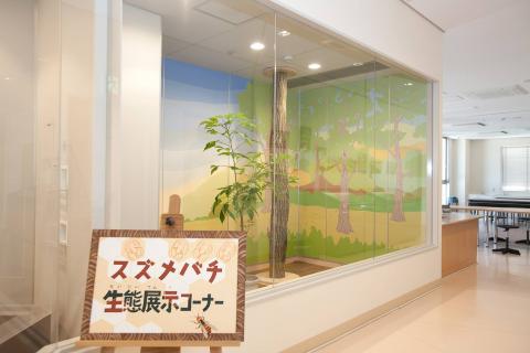 「スズメバチ整体展示コーナー」という看板がある新館の様子の写真