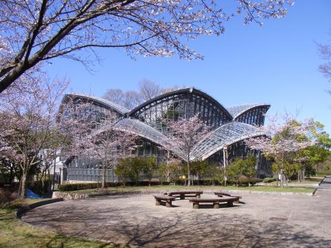 桜が咲いている奥に建っている音質の外観の写真