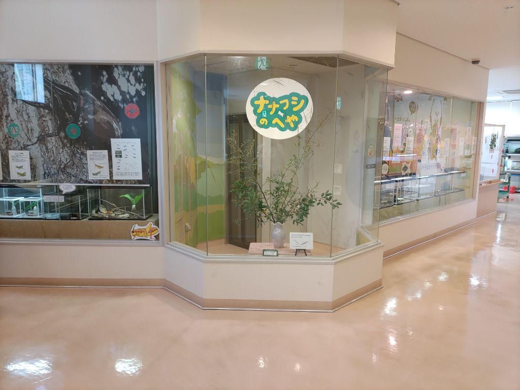 新館(研修棟)内の情報コーナーが写った写真