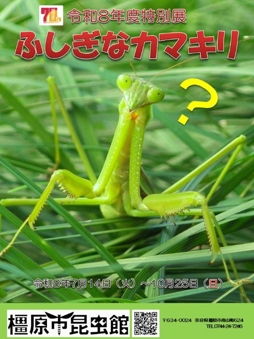 特別展「ふしぎなカマキリ」／橿原市公式ホームページ