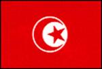 チュニジア共和国の国旗