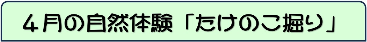 4月たけのこ掘り