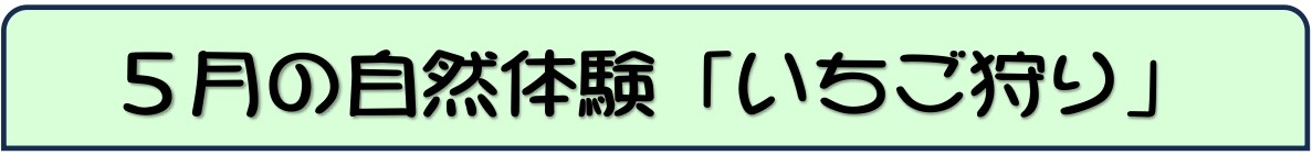 イチゴ狩り