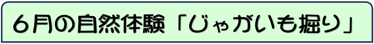 じゃがいも掘り