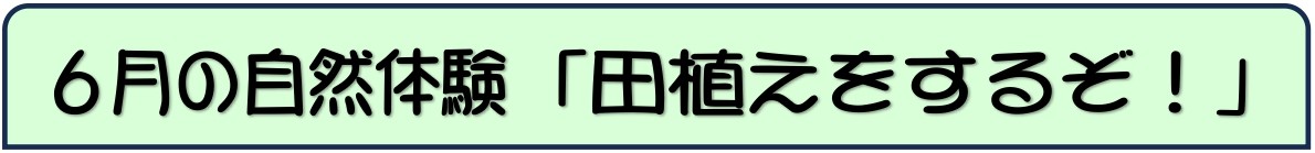田植え