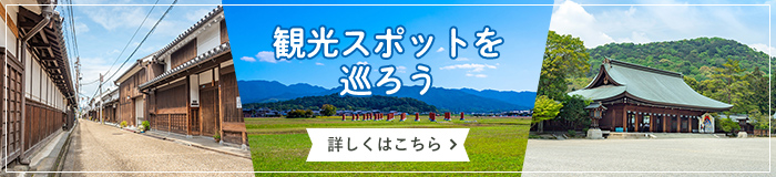 観光スポットを巡ろう 詳しくはこちら