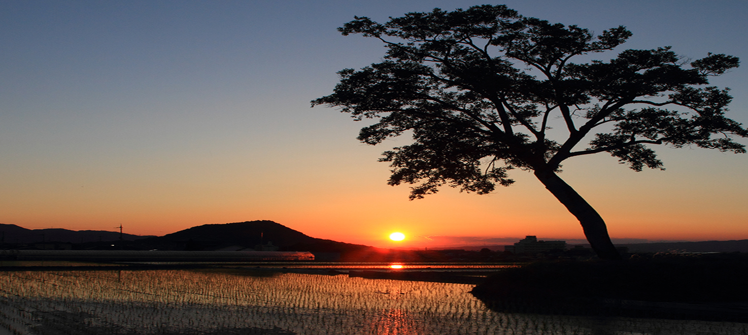 畝傍山と夕焼けの写真