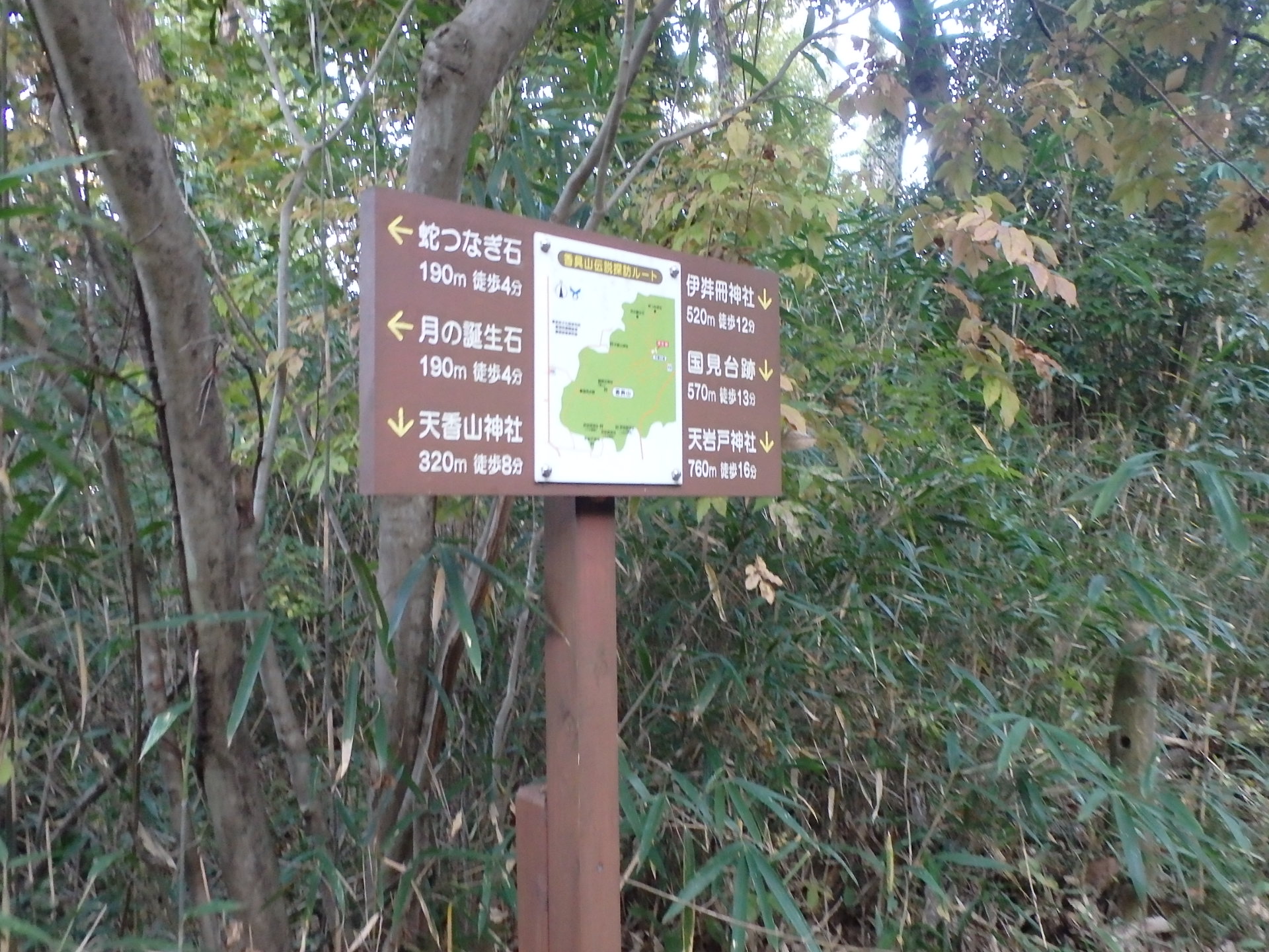 草木が生い茂った登山道に立つ案内図が書かれた看板の写真