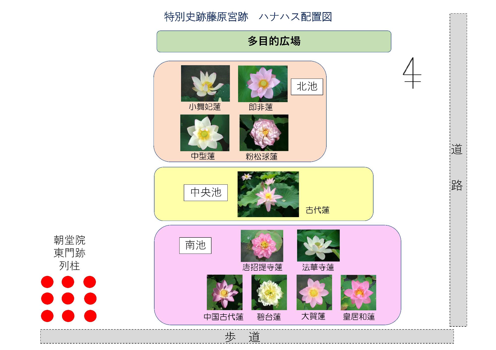 20250718ハナハス配置図