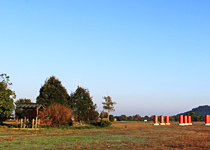 大きく広がる青空の下、草原の中に木々がある遺跡の風景の写真