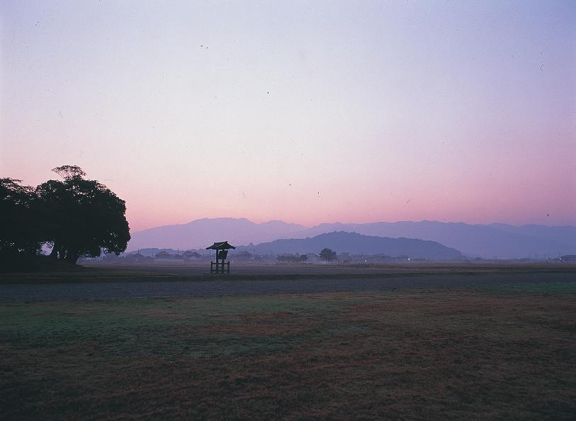 紫がかった空と山並み左手に大きな木が見える藤原京跡風景写真