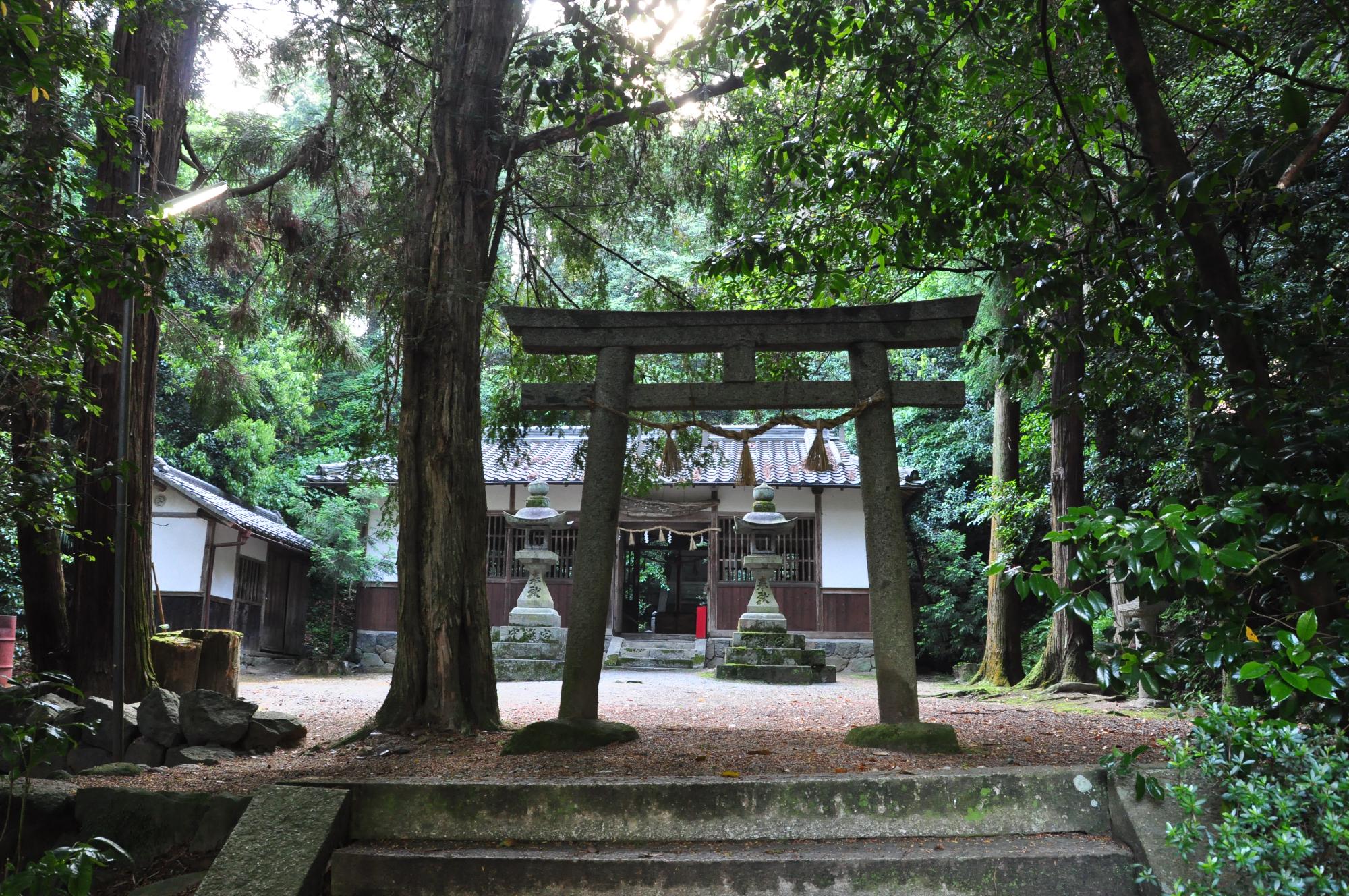 石の階段の頂上から見た、鳥居と林の中の小さな神社の写真