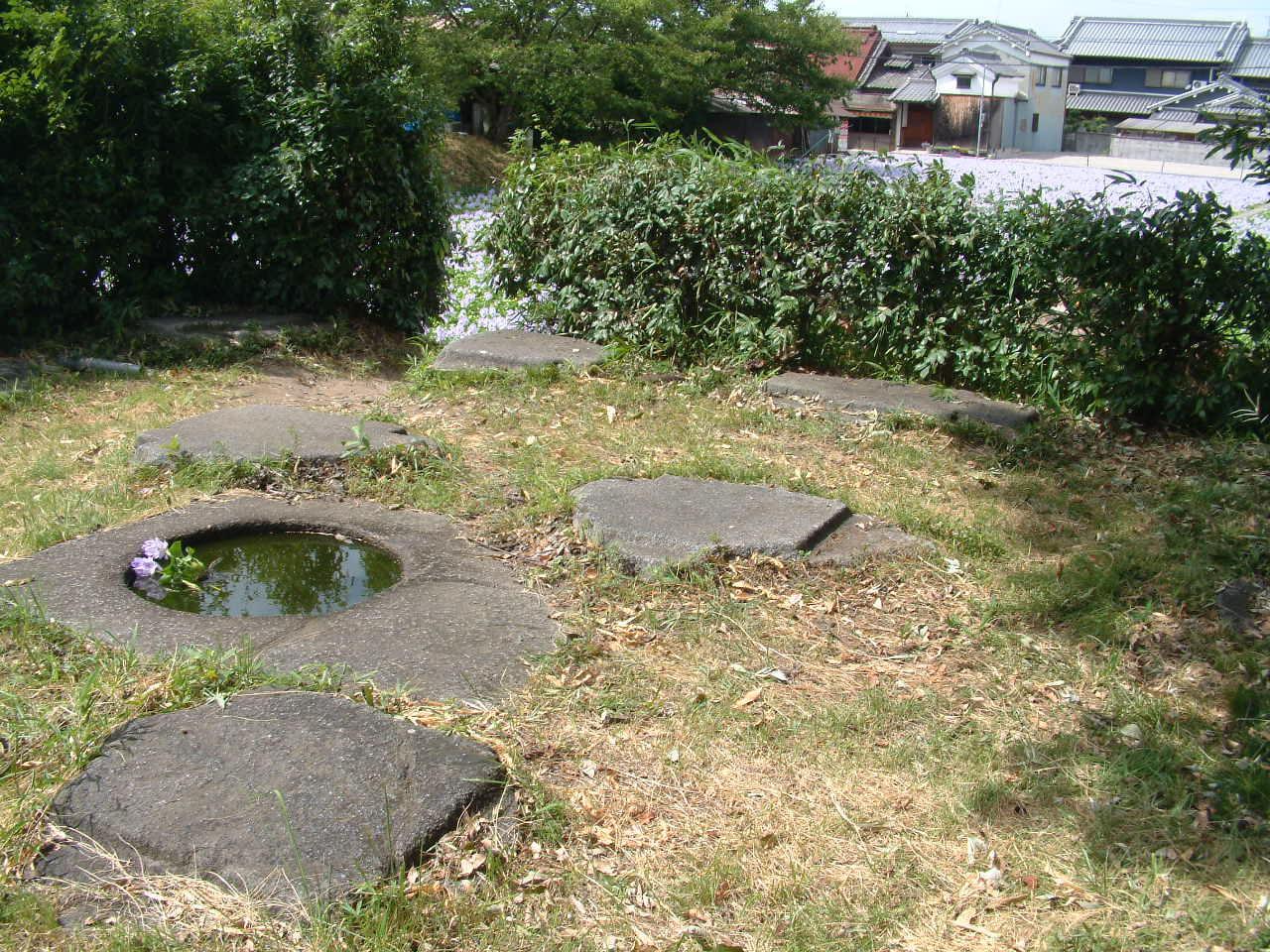 住宅地のそばにある、植木と飛び石が敷かれた敷地の写真