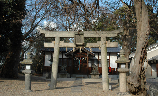 石の鳥居と両肩に灯籠が2つ飾られている、林の中の神社の写真