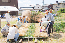 ほうらんや火祭で使用する大きなたいまつを数名の人が編んで作っている様子の写真