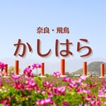 橿原市公式観光インスタグラム