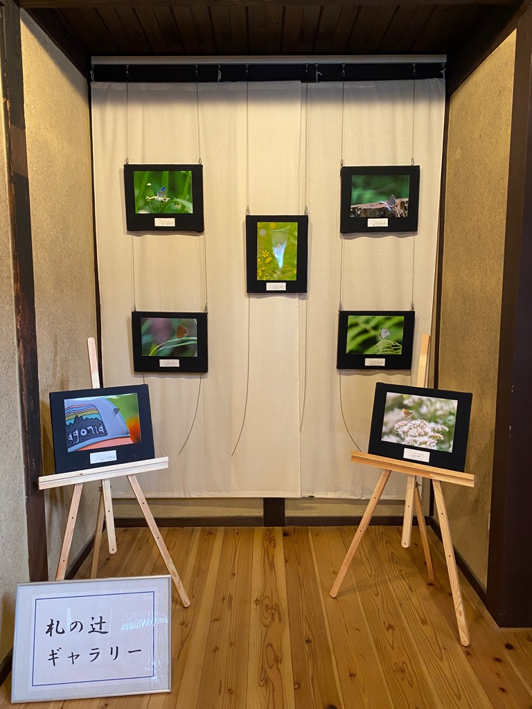 作品展示の様子