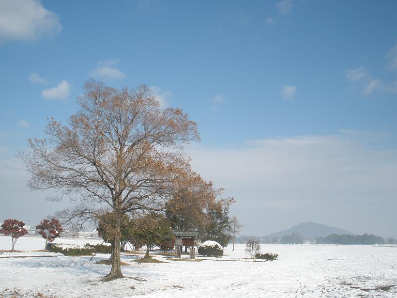 藤原京跡雪景色。一面雪景色の写真