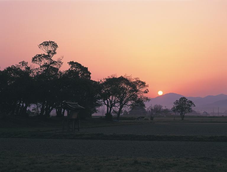 藤原京跡夕景。木立の向こうの山の陰に太陽が沈んでいく写真