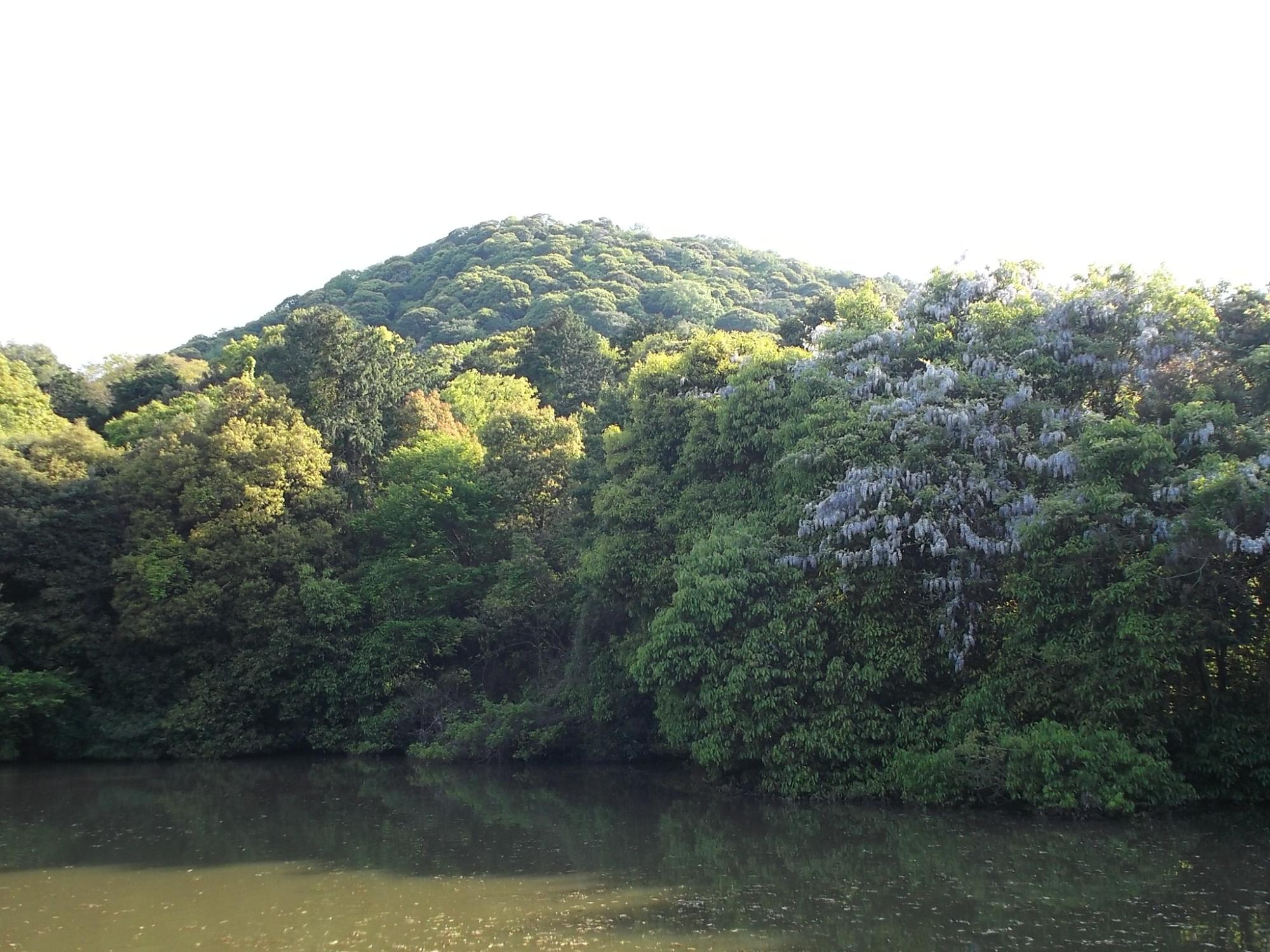 畝傍山の写真