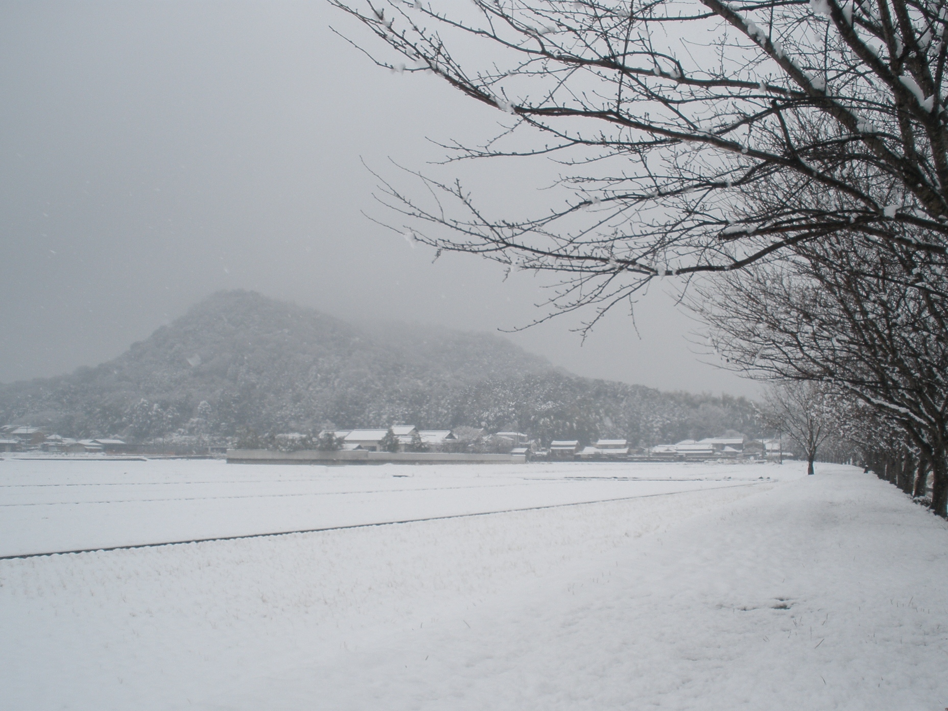 雪の畝傍山の写真