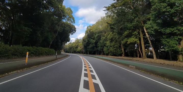 （イメージ）参道の森環境美化活動