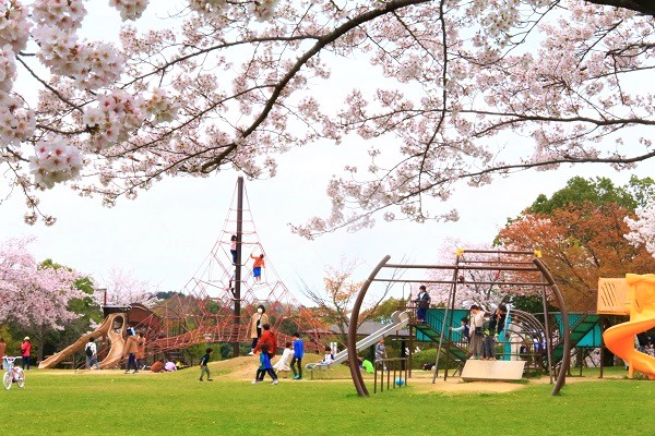 桜が咲き誇っている沢山の遊具がある公園で、花見を兼ねて遊びに来たであろう沢山の親子が、楽しそうに遊びまわっている写真