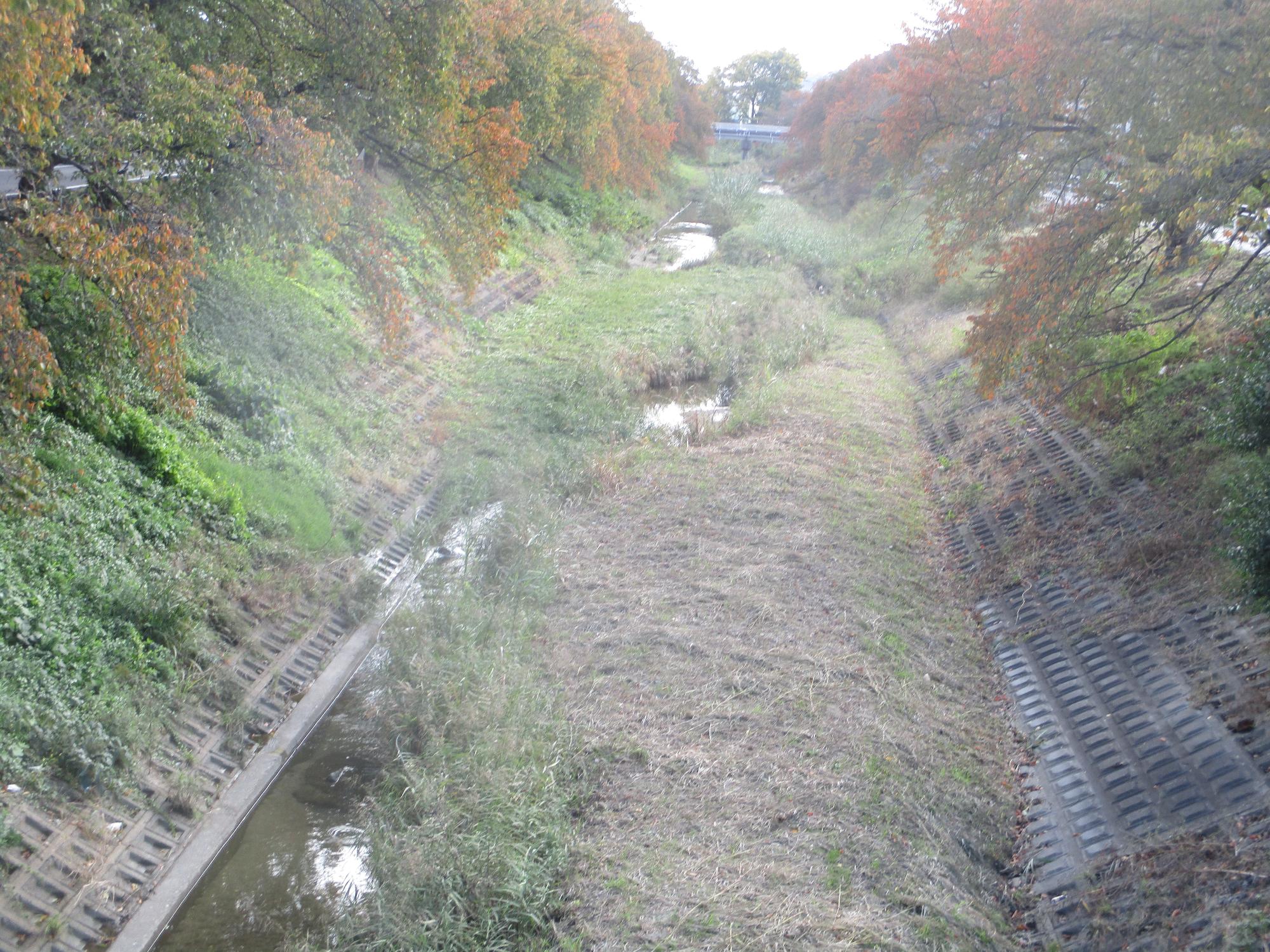 20251104草刈の様子3