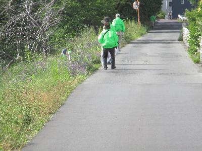5月11日清掃活動の様子